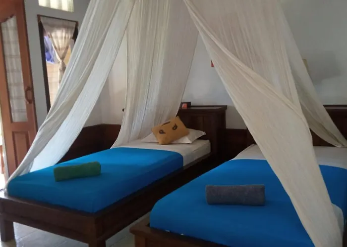 The & Turtle Sanctuary 5*
