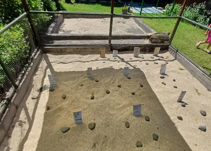 The & Turtle Sanctuary 5* ペムテラン
