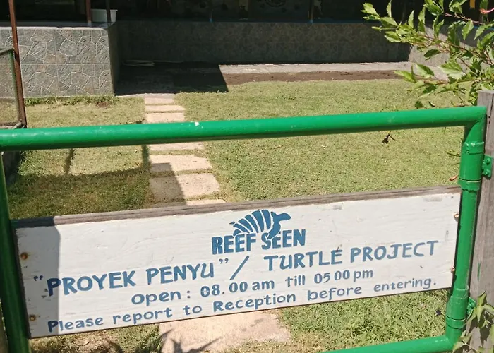 The & Turtle Sanctuary