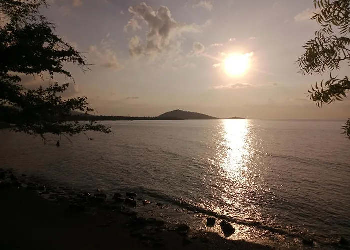 The & Turtle Sanctuary ホテル