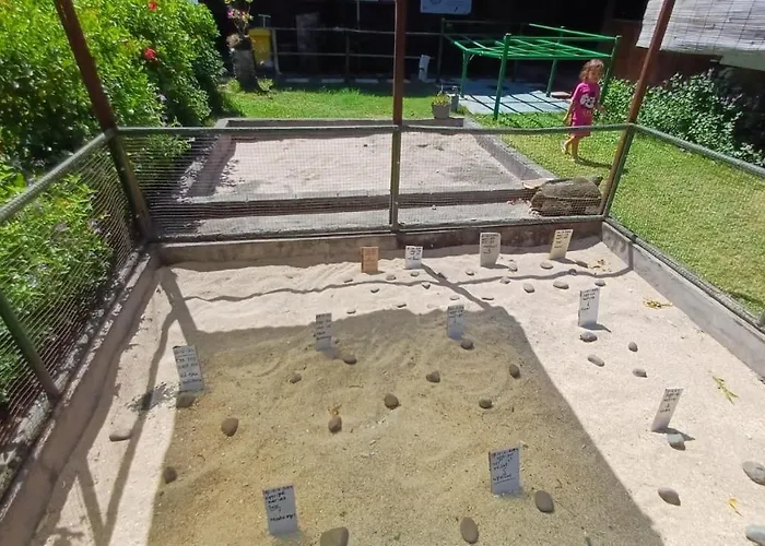 The & Turtle Sanctuary ペムテラン