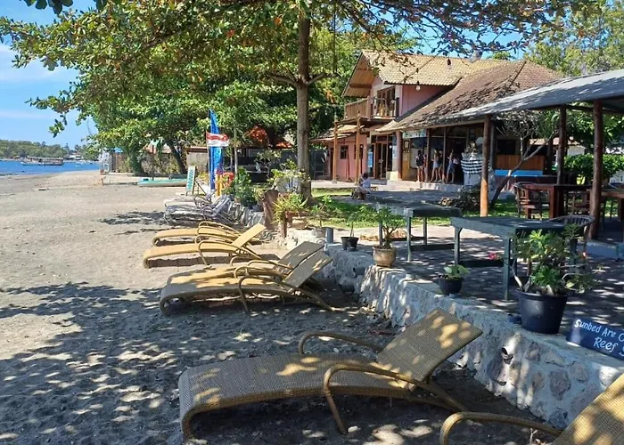 The & Turtle Sanctuary