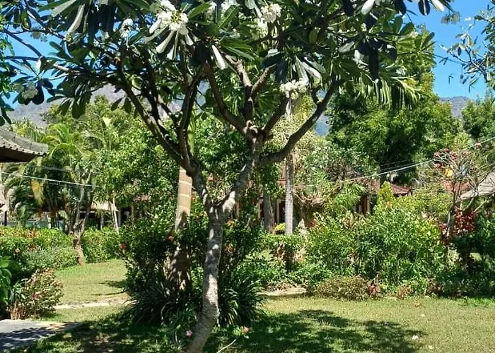 The & Turtle Sanctuary ホテル